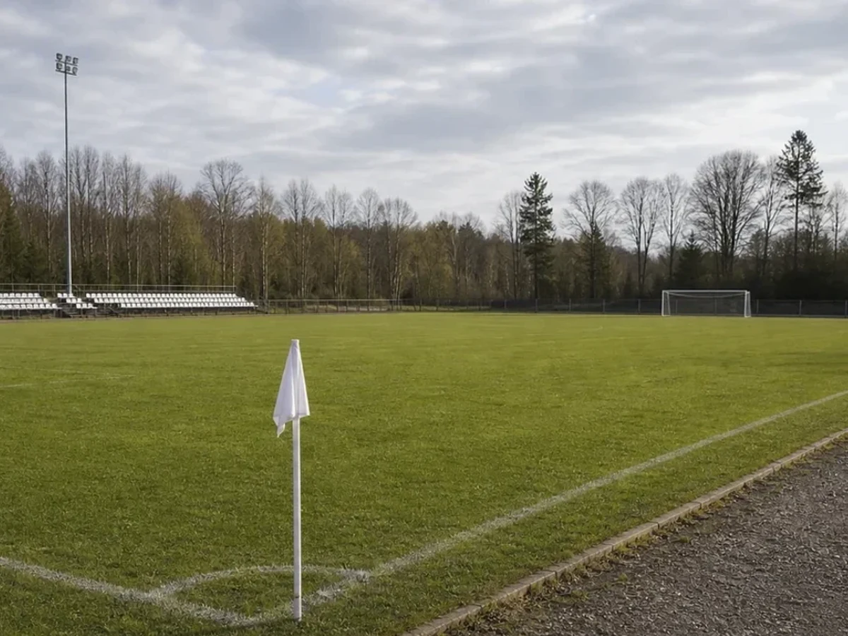 Illustrationsbild från en anonym fotbollsmiljö.